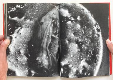 Sample page 19 for book  Nobuyoshi Araki – The Banquet 荒木 経惟 - 食事