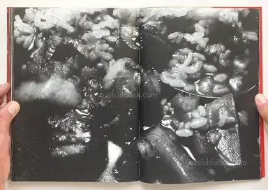 Sample page 2 for book "Araki, Nobuyoshi – Nobuyoshi Araki - The Banquet 荒木 経惟 - 食事" Sample page 2 for book "Araki, Nobuyoshi – Nobuyoshi Araki - The Banquet 荒木 経惟 - 食事"
