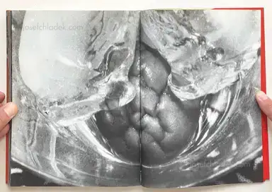 Sample page 1 for book "Araki, Nobuyoshi – Nobuyoshi Araki - The Banquet 荒木 経惟 - 食事" Sample page 1 for book "Araki, Nobuyoshi – Nobuyoshi Araki - The Banquet 荒木 経惟 - 食事"