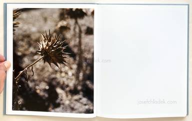 Sample page 4 for book  Gregory Halpern – ZZYZX