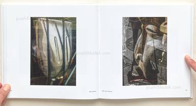 Sample page 9 for book "Dane, Bill – Bill Dane - Bill Dane Pictures ...it's not pretty" Sample page 9 for book "Dane, Bill – Bill Dane - Bill Dane Pictures ...it's not pretty"