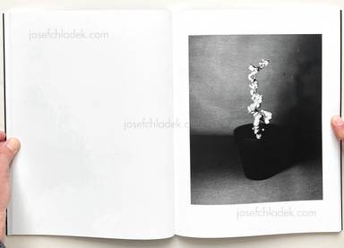 Sample page 6 for book  Taiyo  / Krebs Onorato – Light of Other Days