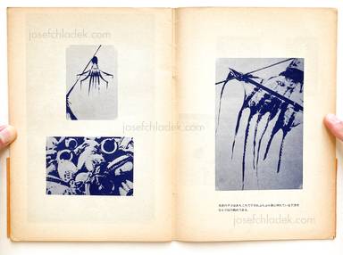 Sample page 24 for book  Nobuyuki Wakabayashi – Children in Shimotsui (若林　のぶゆき - しもついの子供たち)