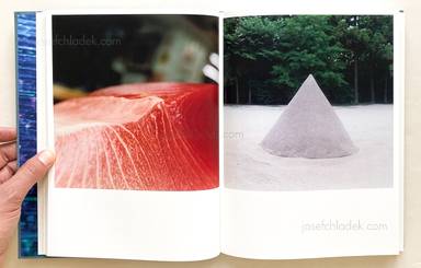 Sample page 10 for book  Rinko Kawauchi – Illuminance
