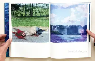 Sample page 8 for book "Kawauchi, Rinko – Rinko Kawauchi - Illuminance" Sample page 8 for book "Kawauchi, Rinko – Rinko Kawauchi - Illuminance"