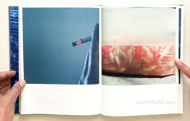 Sample page 7 for book "Kawauchi, Rinko – Rinko Kawauchi - Illuminance" Sample page 7 for book "Kawauchi, Rinko – Rinko Kawauchi - Illuminance"