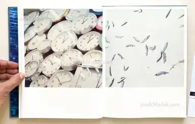 Sample page 5 for book "Kawauchi, Rinko – Rinko Kawauchi - Illuminance" Sample page 5 for book "Kawauchi, Rinko – Rinko Kawauchi - Illuminance"