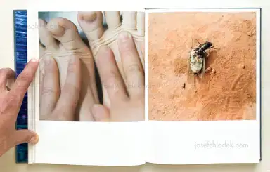 Sample page 4 for book "Kawauchi, Rinko – Rinko Kawauchi - Illuminance" Sample page 4 for book "Kawauchi, Rinko – Rinko Kawauchi - Illuminance"