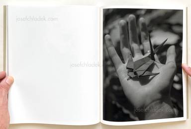 Sample page 11 for book Joselito Verschaeve – If I call stones blue it is because blue is the precise word