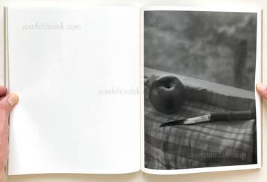 Sample page 13 for book Joselito Verschaeve – If I call stones blue it is because blue is the precise word