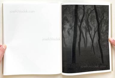 Sample page 15 for book Joselito Verschaeve – If I call stones blue it is because blue is the precise word