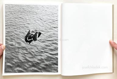 Sample page 19 for book Joselito Verschaeve – If I call stones blue it is because blue is the precise word