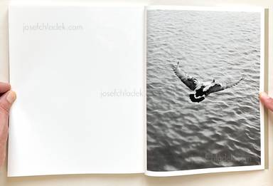 Sample page 20 for book Joselito Verschaeve – If I call stones blue it is because blue is the precise word