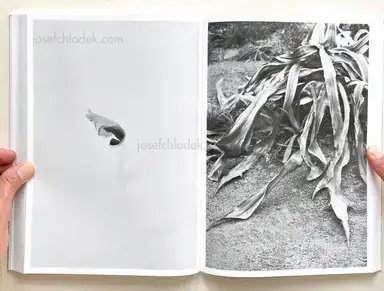 Sample page 16 for book "Mazzoni, Michel – Michel Mazzoni - Rien, presque" Sample page 16 for book "Mazzoni, Michel – Michel Mazzoni - Rien, presque"