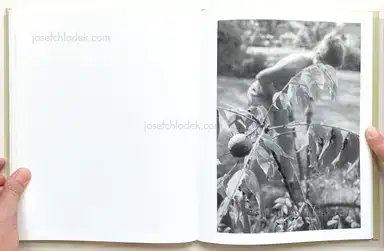 Sample page 6 for book "Meeks, Raymond – Raymond Meeks - ciprian honey cathedral" Sample page 6 for book "Meeks, Raymond – Raymond Meeks - ciprian honey cathedral"