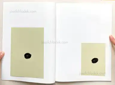 Sample page 8 for book "Meeks, Raymond – Raymond Meeks - Orchard Volume Two / Not Seen | Not Said" Sample page 8 for book "Meeks, Raymond – Raymond Meeks - Orchard Volume Two / Not Seen | Not Said"