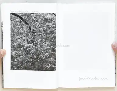 Sample page 15 for book "Colberg, Jörg – Jörg Colberg - Vaterland" Sample page 15 for book "Colberg, Jörg – Jörg Colberg - Vaterland"