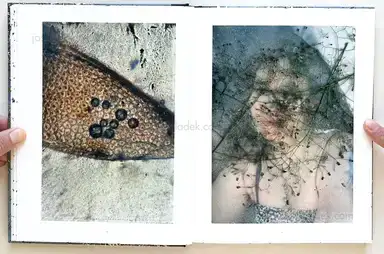 Sample page 19 for book "Gill, Stephen – Stephen Gill - Coexistence (Cover 4)" Sample page 19 for book "Gill, Stephen – Stephen Gill - Coexistence (Cover 4)"