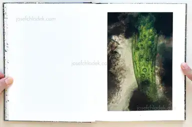 Sample page 17 for book "Gill, Stephen – Stephen Gill - Coexistence (Cover 4)" Sample page 17 for book "Gill, Stephen – Stephen Gill - Coexistence (Cover 4)"