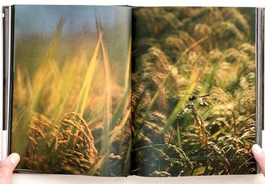 Sample page 31 for book  Kishin Shinoyama – A Fine Day (晴れた日)