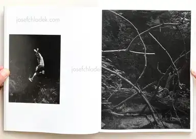 Sample page 16 for book "Meeks, Raymond – Raymond Meeks - Halfstory Halflife" Sample page 16 for book "Meeks, Raymond – Raymond Meeks - Halfstory Halflife"