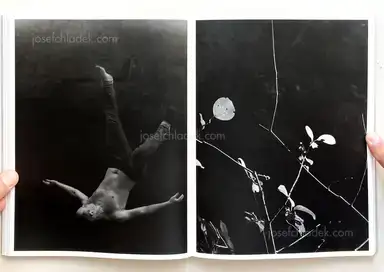 Sample page 11 for book "Meeks, Raymond – Raymond Meeks - Halfstory Halflife" Sample page 11 for book "Meeks, Raymond – Raymond Meeks - Halfstory Halflife"