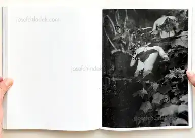 Sample page 9 for book "Meeks, Raymond – Raymond Meeks - Halfstory Halflife" Sample page 9 for book "Meeks, Raymond – Raymond Meeks - Halfstory Halflife"