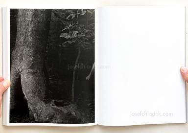 Sample page 5 for book "Meeks, Raymond – Raymond Meeks - Halfstory Halflife" Sample page 5 for book "Meeks, Raymond – Raymond Meeks - Halfstory Halflife"