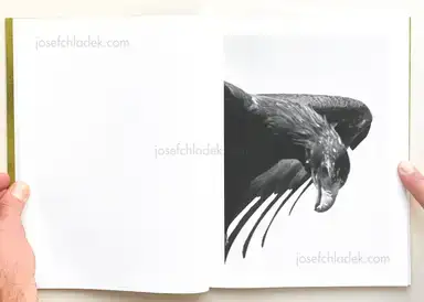 Sample page 12 for book "Dunne, Matt – Matt Dunne - The Killing Sink" Sample page 12 for book "Dunne, Matt – Matt Dunne - The Killing Sink"