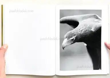 Sample page 6 for book "Dunne, Matt – Matt Dunne - The Killing Sink" Sample page 6 for book "Dunne, Matt – Matt Dunne - The Killing Sink"