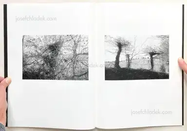 Sample page 19 for book "Meeks, Raymond – Raymond Meeks & Mark Steinmetz - Orchard Volume Three / Idyll" Sample page 19 for book "Meeks, Raymond – Raymond Meeks & Mark Steinmetz - Orchard Volume Three / Idyll"