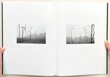 Sample page 10 for book Raymond Meeks – Orchard Volume Three / Idyll