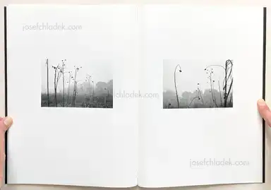Sample page 16 for book "Meeks, Raymond – Raymond Meeks & Mark Steinmetz - Orchard Volume Three / Idyll" Sample page 16 for book "Meeks, Raymond – Raymond Meeks & Mark Steinmetz - Orchard Volume Three / Idyll"
