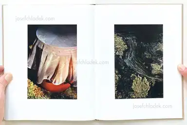 Sample page 4 for book "Edlund, Karl Henrik – Karl Edlund Henrik - Eden" Sample page 4 for book "Edlund, Karl Henrik – Karl Edlund Henrik - Eden"