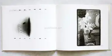 Sample page 4 for book "Hara, Yoshiichi – Yoshiichi Hara - Tokoyo no mushi" Sample page 4 for book "Hara, Yoshiichi – Yoshiichi Hara - Tokoyo no mushi"