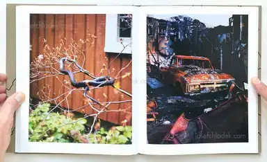 Sample page 8 for book "Reinhart, Jake – Jake Reinhart - Laurel Mountain Laurel" Sample page 8 for book "Reinhart, Jake – Jake Reinhart - Laurel Mountain Laurel"