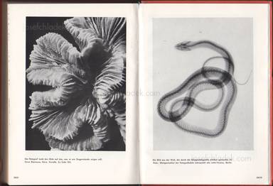 Sample page 6 for book "Renner, Paul – Paul Renner - mechanisierte grafik" Sample page 6 for book "Renner, Paul – Paul Renner - mechanisierte grafik"