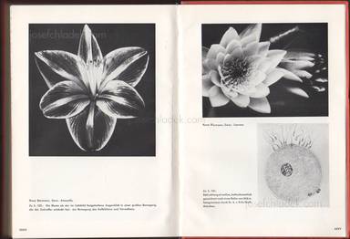 Sample page 9 for book Paul Renner – mechanisierte grafik