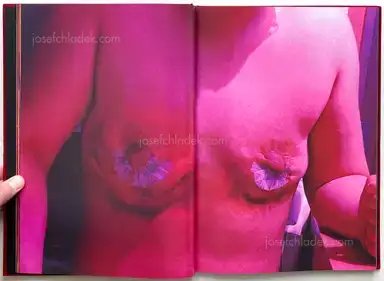 Sample page 16 for book "Okabe, Momo – Momo Okabe - Bible" Sample page 16 for book "Okabe, Momo – Momo Okabe - Bible"