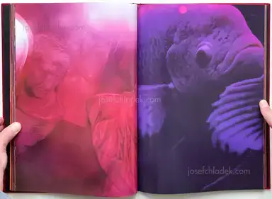 Sample page 10 for book "Okabe, Momo – Momo Okabe - Bible" Sample page 10 for book "Okabe, Momo – Momo Okabe - Bible"