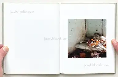 Sample page 8 for book "Anderson, Will – Will Anderson - Death In A Good District" Sample page 8 for book "Anderson, Will – Will Anderson - Death In A Good District"