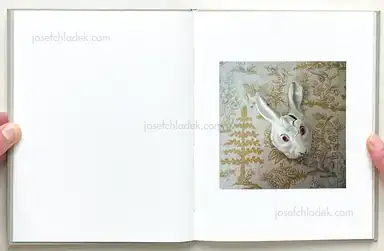 Sample page 12 for book "Anderson, Will – Will Anderson - Death In A Good District" Sample page 12 for book "Anderson, Will – Will Anderson - Death In A Good District"