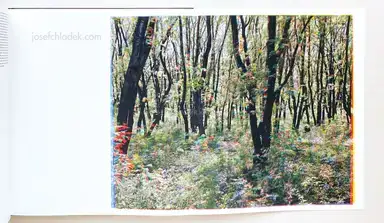 Sample page 55 for book "Heinisch, Damian – Damian Michał Heinisch - Erde, Feuer, Wind, Wasser" Sample page 55 for book "Heinisch, Damian – Damian Michał Heinisch - Erde, Feuer, Wind, Wasser"