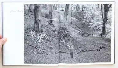 Sample page 26 for book "Heinisch, Damian – Damian Michał Heinisch - Erde, Feuer, Wind, Wasser" Sample page 26 for book "Heinisch, Damian – Damian Michał Heinisch - Erde, Feuer, Wind, Wasser"