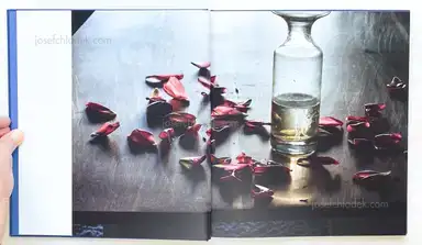 Sample page 13 for book "Heinisch, Damian – Damian Michał Heinisch - Erde, Feuer, Wind, Wasser" Sample page 13 for book "Heinisch, Damian – Damian Michał Heinisch - Erde, Feuer, Wind, Wasser"