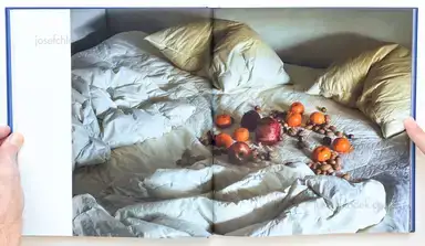 Sample page 8 for book "Heinisch, Damian – Damian Michał Heinisch - Erde, Feuer, Wind, Wasser" Sample page 8 for book "Heinisch, Damian – Damian Michał Heinisch - Erde, Feuer, Wind, Wasser"