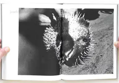 Sample page 4 for book "Thue, Kim – Kim Thue - Lode" Sample page 4 for book "Thue, Kim – Kim Thue - Lode"