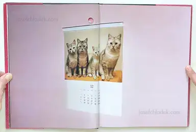 Sample page 16 for book "Graham, Paul – Paul Graham - Empty Heaven" Sample page 16 for book "Graham, Paul – Paul Graham - Empty Heaven"