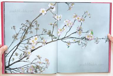 Sample page 11 for book "Graham, Paul – Paul Graham - Empty Heaven" Sample page 11 for book "Graham, Paul – Paul Graham - Empty Heaven"