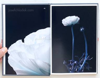 Sample page 18 for book "Lažetić, Tanja – Tanja Lažetić - 100 Flowers" Sample page 18 for book "Lažetić, Tanja – Tanja Lažetić - 100 Flowers"